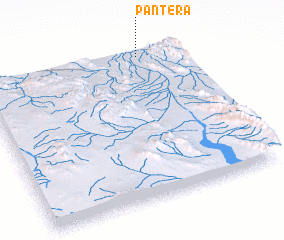 3d view of Pantera