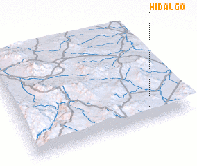 3d view of Hidalgo