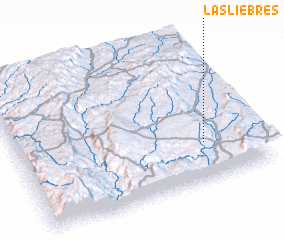 3d view of Las Liebres