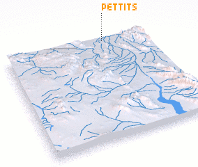 3d view of Pettits