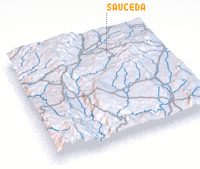 3d view of Sauceda