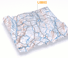 3d view of Lobos