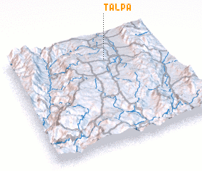 3d view of Talpa