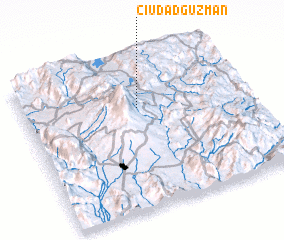 3d view of Ciudad Guzmán