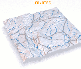 3d view of Coyotes