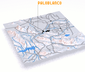 3d view of Palo Blanco