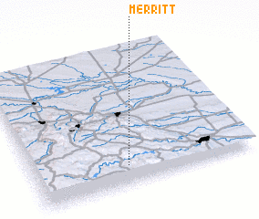 3d view of Merritt