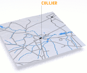 3d view of Collier