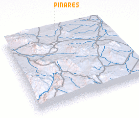 3d view of Pinares