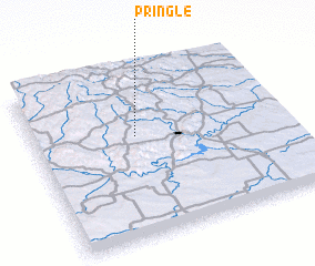 3d view of Pringle