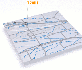 3d view of Trout