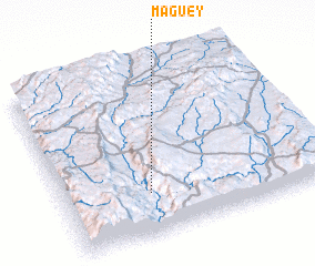 3d view of Maguey