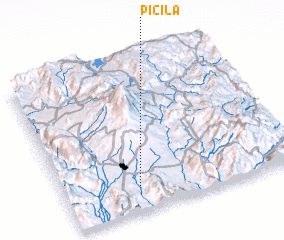 3d view of Picila