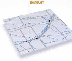 3d view of Moseley