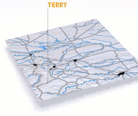 3d view of Terry