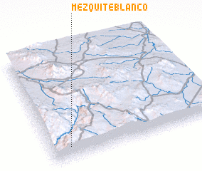 3d view of Mezquite Blanco