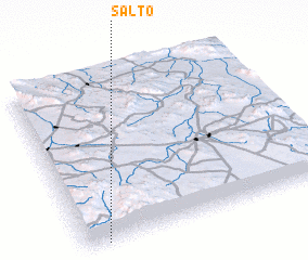 3d view of Salto