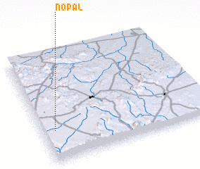 3d view of Nopal