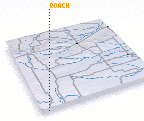 3d view of Roach