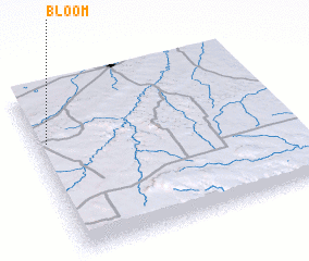 3d view of Bloom