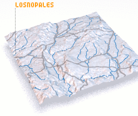 3d view of Los Nopales