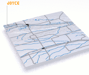 3d view of Joyce