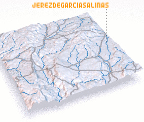 3d view of Jerez de García Salinas