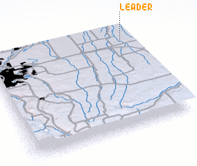 3d view of Leader