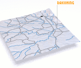 3d view of Dakoming