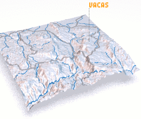 3d view of Vacas