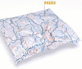 3d view of Pedro