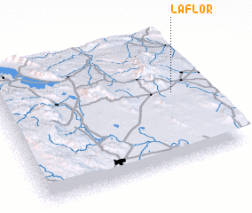 3d view of La Flor