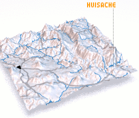 3d view of Huisache