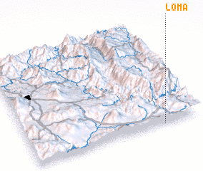 3d view of Loma