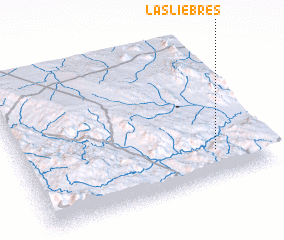 3d view of Las Liebres