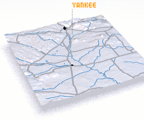 3d view of Yankee