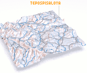 3d view of Tepospisaloya