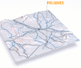 3d view of Puliques