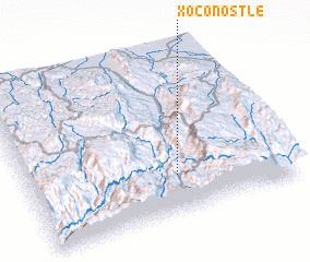 3d view of Xoconostle