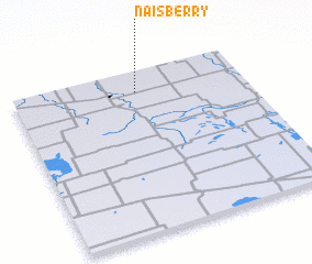 3d view of Naisberry