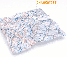 3d view of Chilacayote