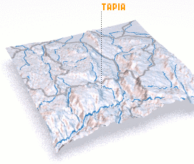 3d view of Tapia