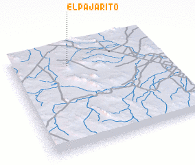 3d view of El Pajarito