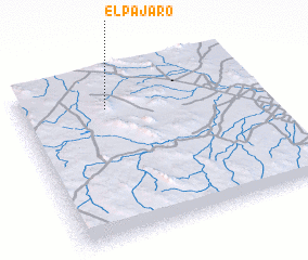 3d view of El Pájaro