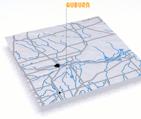 3d view of Auburn