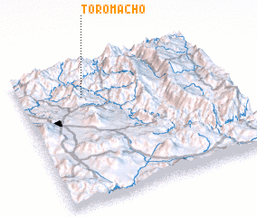 3d view of Toro Macho