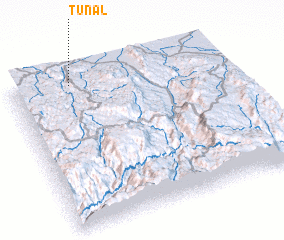 3d view of Tunal