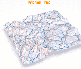 3d view of Yerbabuena