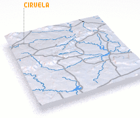3d view of Ciruela