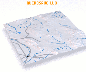 3d view of Nuevo Saucillo